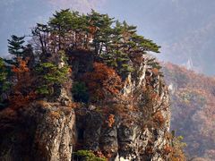 -关门山森林公园