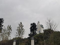 -大渡口区义渡公园