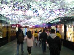 -新世界百货(明洞总店)