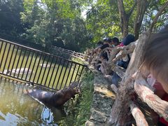 -海南热带野生动植物园
