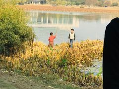 -艾溪湖湿地公园