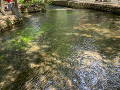 -水磨沟公园