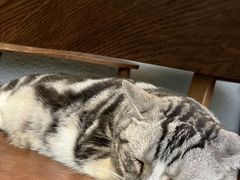 -咖法森林·咖啡  酒吧(天河店)