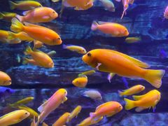 -多彩贵州城极地海洋世界