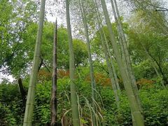 -仙岛湖旅游风景区