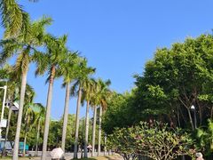 -厦门大学(思明校区)