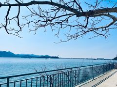 -望湖烤鱼