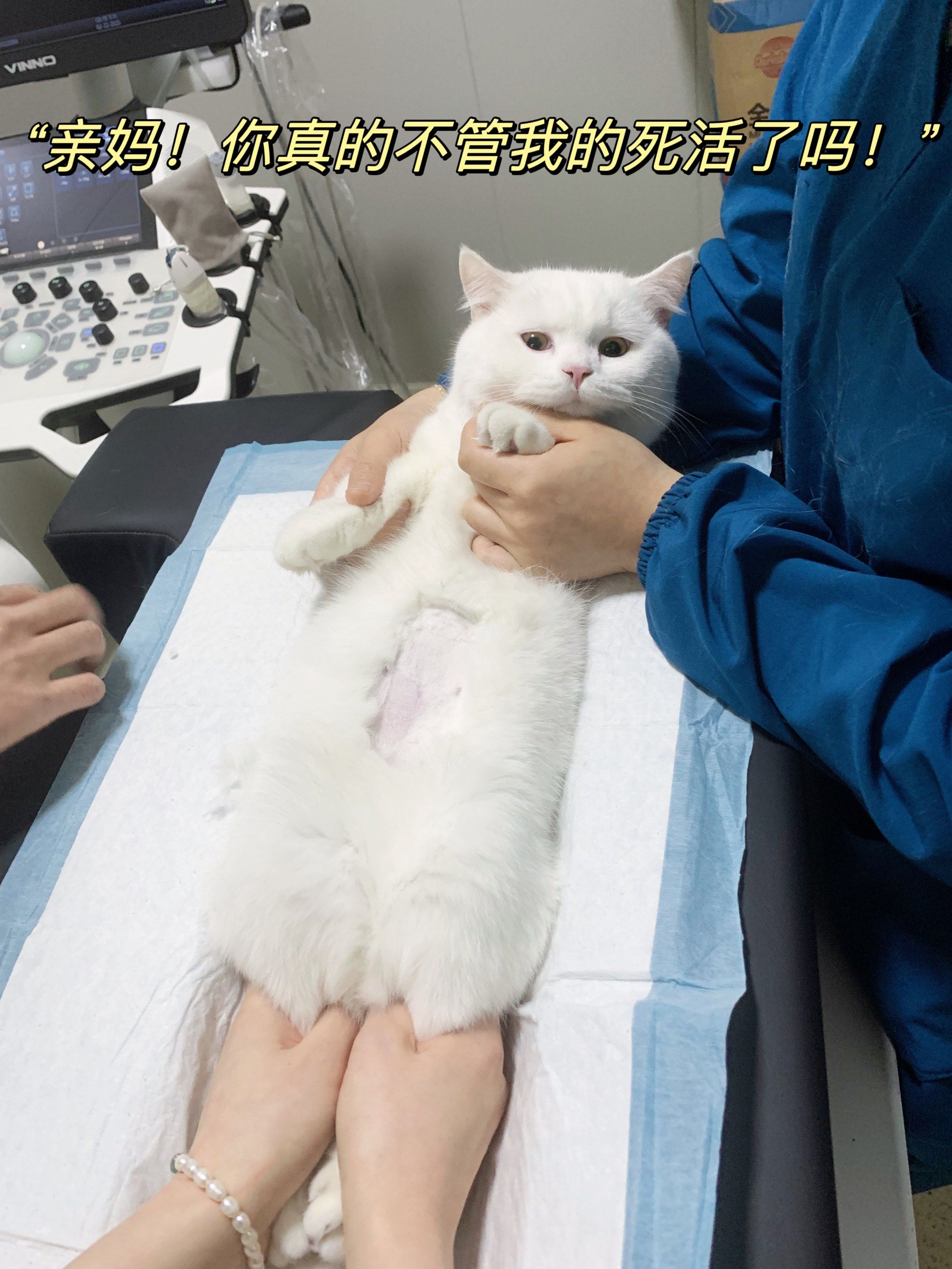 关于中日友好医院、全程陪同网上预约挂号，预约成功再收费的信息