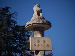 -洛阳古墓博物馆