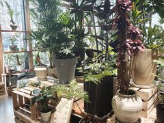 -瑞虹新天地月亮湾