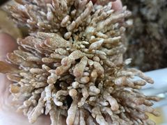 -畲乡一品鱼府土菜馆