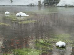 -水磨沟公园