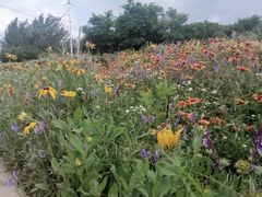 -那香海钻石沙滩浴场