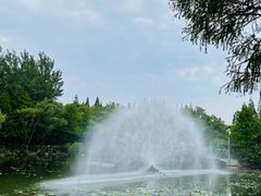-梅林春晓花园餐厅