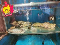 -粥全粥到海鲜家常菜(瞿塘峡路店)