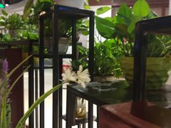 -舌尖上的食缘花园主题餐厅