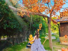 -HERRE·FARM 赫尔露营农场·团建聚会包场