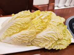 -多蒙德养生火锅