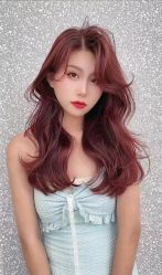 -时尚殿堂salon