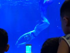 -华夏文旅海洋公园