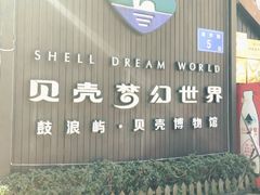 -贝壳梦幻世界