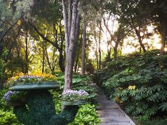 景点-紫荆山公园