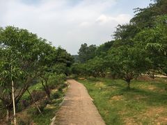 -南国桃园旅游度假区