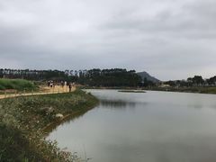 景点-光明小镇欢乐田园