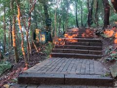 -紫金山山顶公园