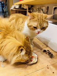 -沫儿·美甲美睫·半永久·皮肤管理