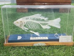 -郑州自然博物馆(惠济区)