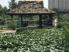 -前关湿地公园