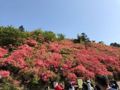 -木兰云雾山