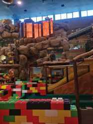 -卡通尼·Safari非洲探索乐园·生日会(金桥国际商业广场店)