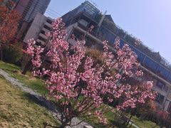 -万寿八仙宫