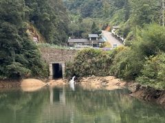 -龙岩森林水乡景区