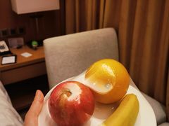 -徐州博顿温德姆酒店(高铁东站店)