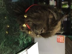 iphone_upload_pic-赢吧Bliss音乐酒吧