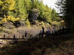 -苏木山森林公园