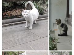 -成都杜甫草堂博物馆