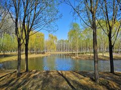 -东郊湿地公园