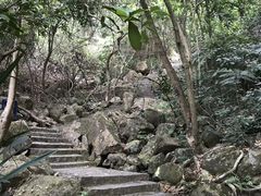 -东莞市大岭山森林公园
