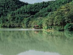 -广州白江湖森林公园