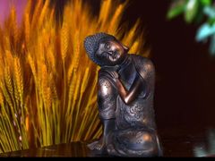 -泰融玺·泰式按摩SPA(包河万达店)