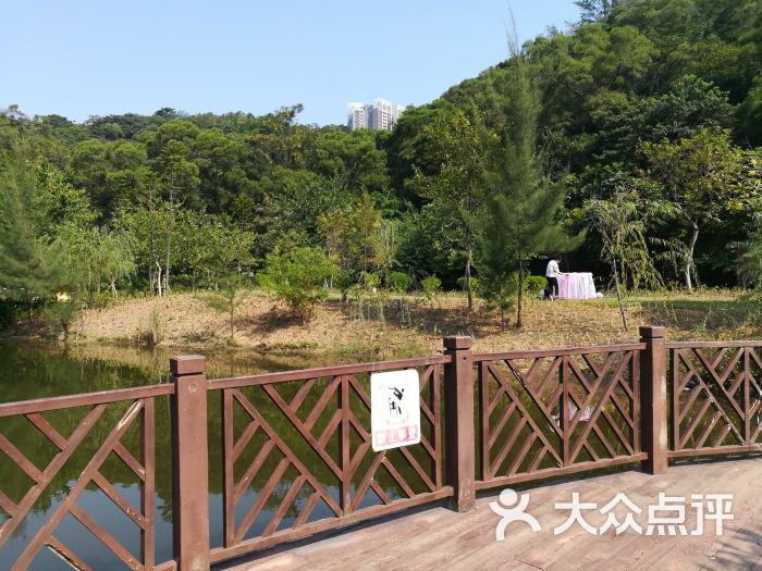 浔峰岗生态公园-图片-广州周边游-大众点评网