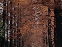 -蜀绣公园