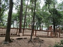 -东湖落雁景区