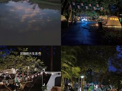 -南宁良凤江国家森林公园