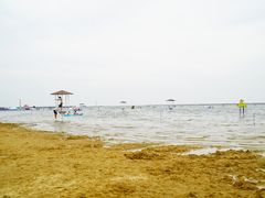 -碧海金沙
