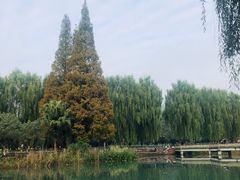 -温江公园